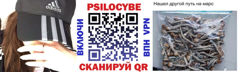 Псилоцибиновые грибы прущие грибы  Купить  Богданович 